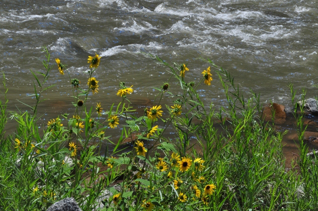 the Glenwood Canyon bike path